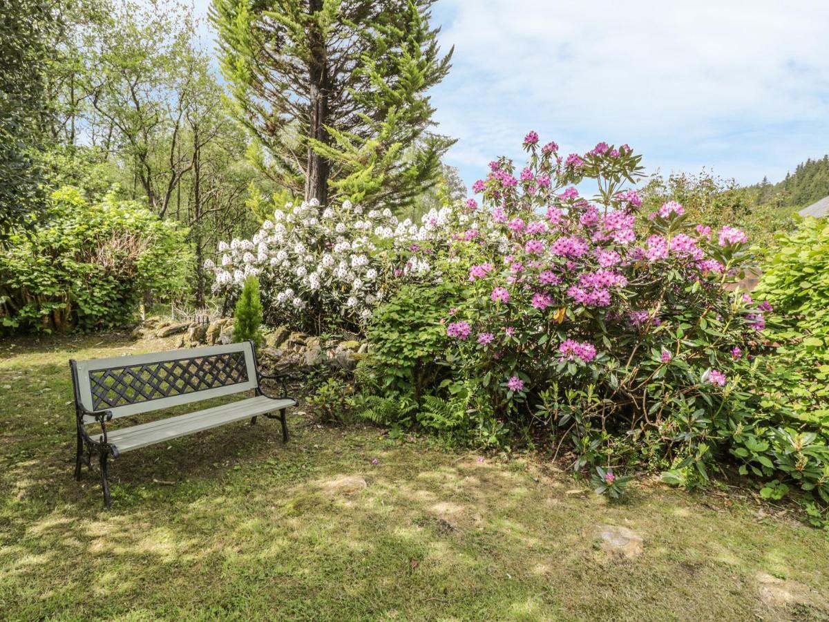 Villa Bron Olau Gellilydan Esterno foto