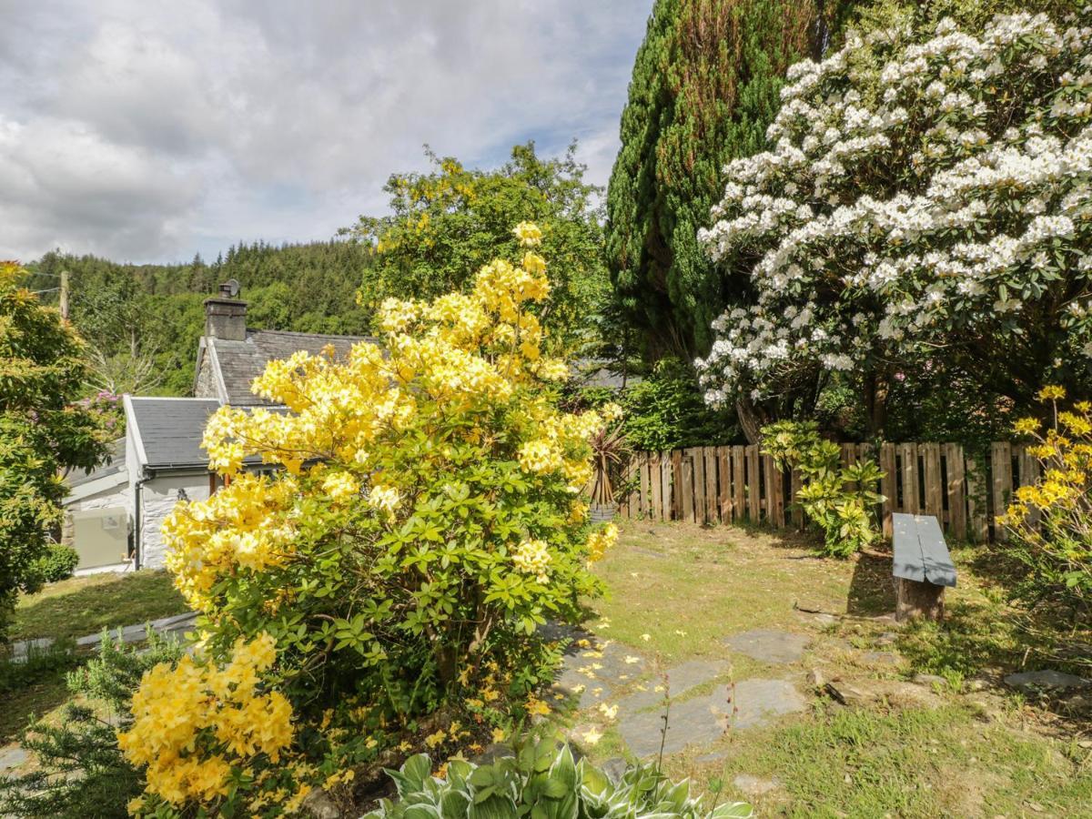 Villa Bron Olau Gellilydan Esterno foto